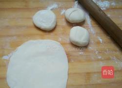 彩椒双色甘蓝卷饼的做法图解4