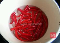 泡辣子的做法图解1