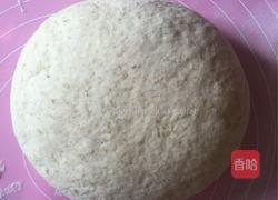 全麦坚果面包的做法图解6