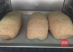 全麦坚果面包的做法图解12