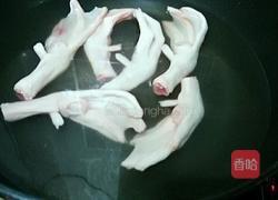 冬菇扒鸭掌的做法图解4