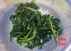 凉拌紫背菜的做法图解5