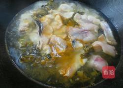 酸汤鱼片的做法图解10