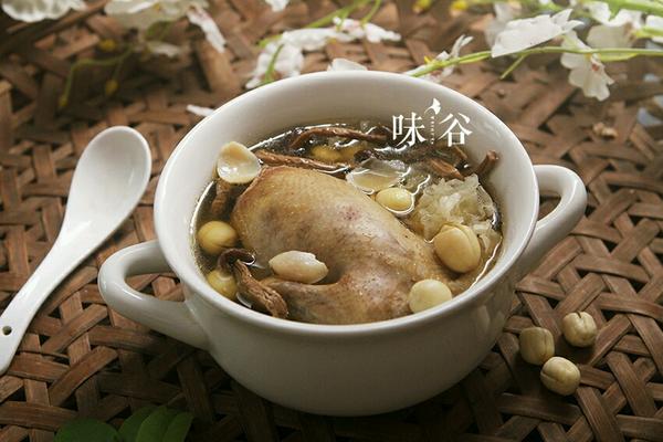 白莲茶树菇乳鸽汤
