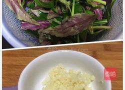 素炒紫背天葵的做法图解1