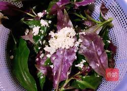 素炒紫背天葵的做法图解2