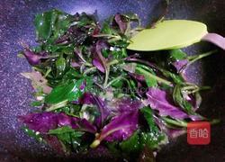 素炒紫背天葵的做法图解4