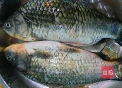 白汤鲫鱼的做法图解2