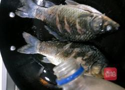 白汤鲫鱼的做法图解4