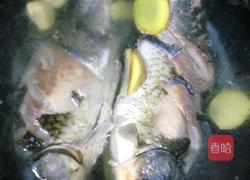 白汤鲫鱼的做法图解5