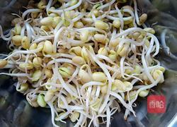 黄豆芽炒粉丝的做法图解1