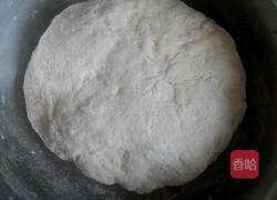 胡萝卜木耳包子的做法图解4