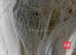 胡萝卜木耳包子的做法图解9