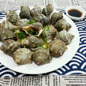 白煮海螺