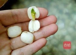 白莲蓉的做法图解3