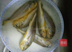 香煎小黄鱼的做法图解1