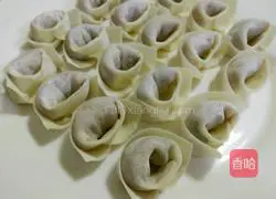 Illustration of how to make wontons 13