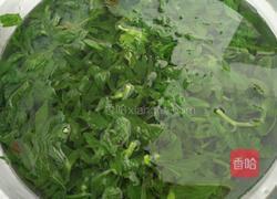 芹菜叶咸菜的做法图解3