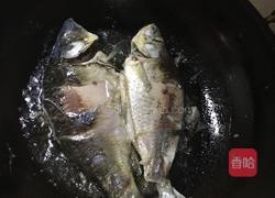 红烧鲫鱼的做法图解6