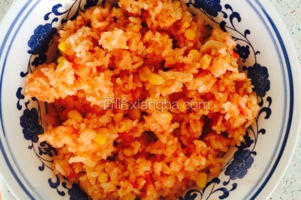 豆氏番茄焖饭(懒人饭）