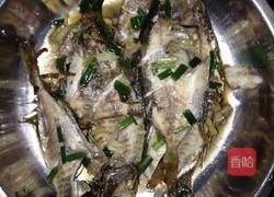 香煎泥猛鱼的做法图解3