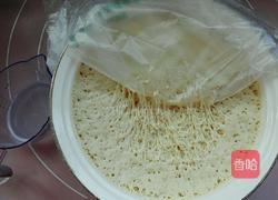 冬瓜牛肉蒸饺的做法图解6