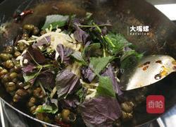 紫苏炒石螺丨大嘴螺的做法图解9