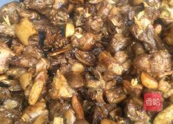 药膳甘蔗炆羊肉的做法图解4