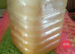 蜂蜜木瓜的做法图解3