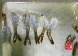 琵琶大虾的做法图解7