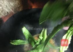 蒜泥油麦菜的做法图解5