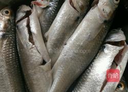 豆酱闷鱼的做法图解1