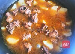简易版鸡肉炖土豆~的做法图解5