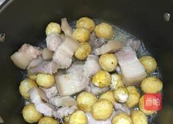 鹌鹑红烧肉的做法图解7