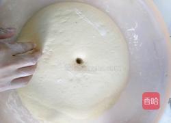 玉米面包子的做法图解3