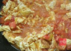 番茄炒蛋排骨汤面的做法图解6