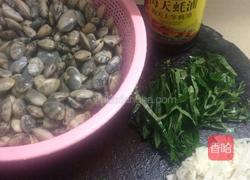 爆炒花甲螺的做法图解1