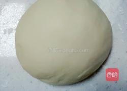 美味无敌鸡汁灌汤包的做法图解4