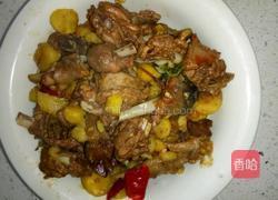 板栗烧鸡的做法图解8