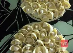 Illustration of how to make wontons 1