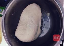 牛奶馒头(奶粉制作)的做法图解7