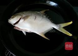 红烧金鲳鱼的做法图解2