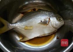 红烧金鲳鱼的做法图解1