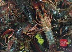 秘制小龙虾的做法图解3