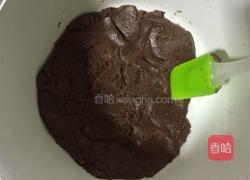 可可豆的做法图解5