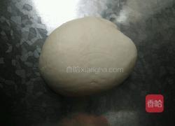 红萝卜杏鲍菇饺子的做法图解3