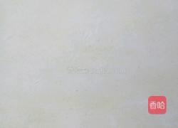 手擀蔬菜面的做法图解4