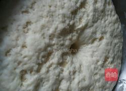 茴香苗猪肉蒸包的做法图解3
