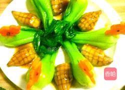 素鲍菜心的做法图解16