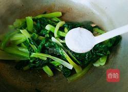 虾仁油菜的做法图解9